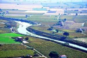 Türkiye`de Tarımsal Poliçe Rekoru Manisa`da Kırıldı