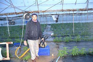 Sera ve Tarım Arazilerini Su Bastı