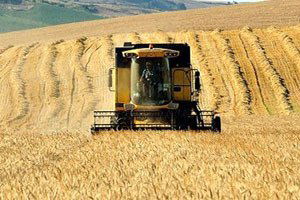 Tarım Desteklemeleri Başvurusu Süresi Uzatıldı