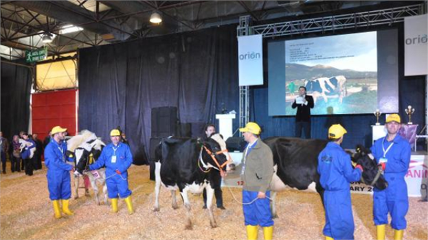 Vali Toprak`a Niyet, Tireli Leyla`ya Kısmet!
