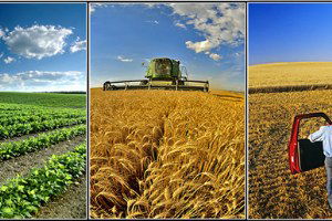 Tarımsal Verimliliği Artıracak Tablet Projesi