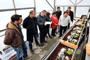 Topraksız Tarım `Yükselen Değer` Oldu