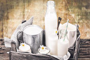 Türkiye`de süt üretimi arttı