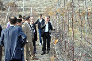 Üreticiye `Budama` Uyarısı