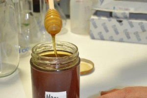 Yrd.Doç.Dr. Öztürk: Bal Antibiyotik Dirençli Bakteriler Üzerinde Etkili