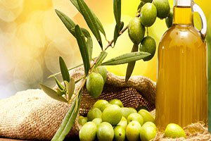 ZZTK, bu ay üç ülkede zeytin tanıtacak