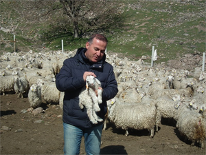 Ankara Birlik kuzuların sesi olacak