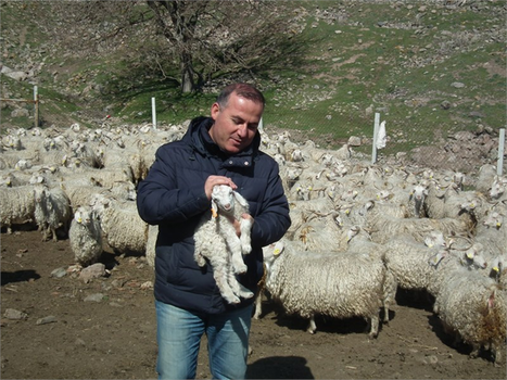 Ankara Birlik kuzuların sesi olacak