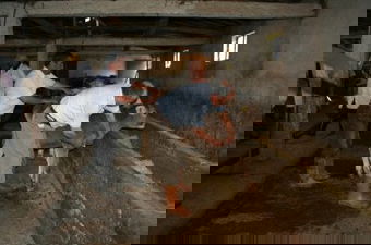 Aşılama Kampanyaları Başladı