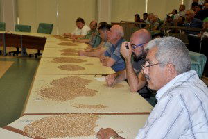 Edirne`de, `Buğday Hastalık ve Zararlarıyla Mücadele Yöntemleri` Paneli