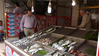 Fatsa`da Su Ürünleri Av Yasakları