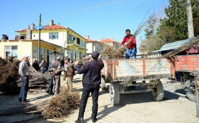 Büyükşehir Belediyesi`nden Tüm İlçelere Tarımsal Destek