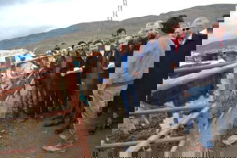 Çankırı`da Çiftçilere `Hayvancılık Desteği` Sürüyor