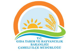 Bakanlıktan `Şap` Açıklaması