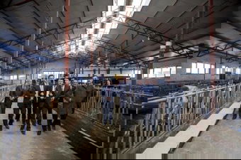 Doğan Tarım ve Hayvancılık Tesisi`ne Ziyaret