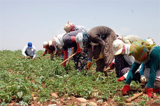 Akşehir`de Tarım İşçilerine Yönelik Seminer