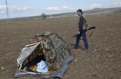 Köylüler Çadır Kurup, 24 Saat Domuz Nöbeti Tutuyor