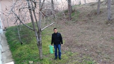 Meyve Ağaçlarına Bahar Dönemi `Bordo Bulamacı` Uygulama Uyarısı