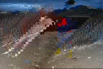 Mut Çiftçisi Alternatif Tarım Ürünlerine Yöneliyor