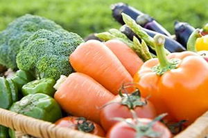 Muş`ta `Organik Tarım Yetiştiriciliği` Semineri