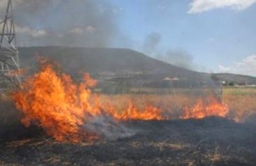 Tosya`da Arazi Yangını