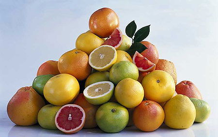 Turunçgil Üreticileri Birliğinde Yeni Dönem