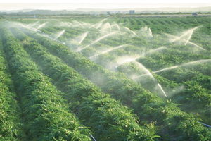 Malatya`da Zirai Mücadele Çalışmaları