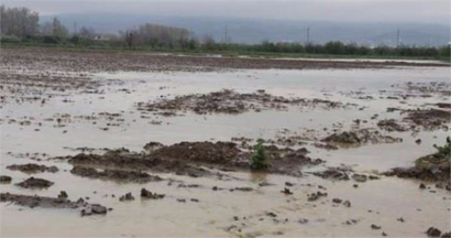 Tarım arazilerini su bastı