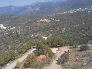 Edremit Belediyesi Zeytinliklerini Kiralıyor