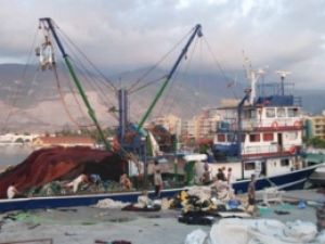 Av yasağı başladı