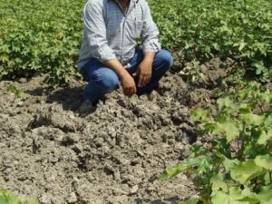 Kocabaş: Verimli Tarım Arazileri Sanayi ve Konuta Kurban Ediliyor