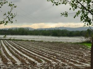 Sumbas`ta Dolu Çiftçiyi Vurdu