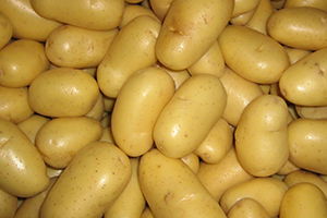 Patates Fiyatlarındaki Artış