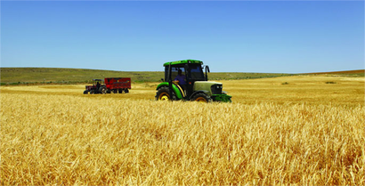 Tarım ÜFE martta yüzde 2,48 arttı