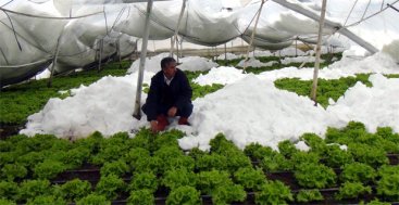 Afetlerden Zarar Gören Çiftçilerin Kredi Borçları Ertelendi