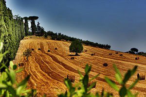 Afyonkarahisar`da 39 Kkydp Projesine 24 Milyon TL Hibe Desteği Verilecek