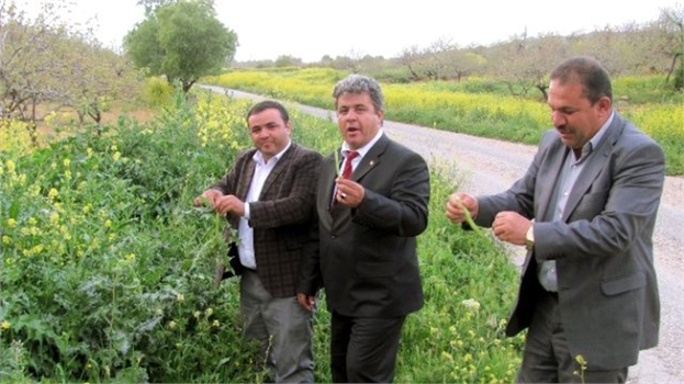 Araban Ovası`nda Kenger Keyfi