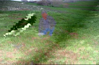 Çiftçilere Tarla Faresi Uyarısı