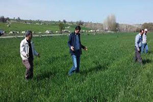 Beyşehir`de Çiftçilere `Kımıl` Uyarısı