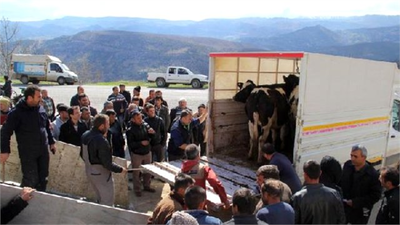 Ermenekli Madencilere, Tarım ve Hayvancılık Alanında Yardım