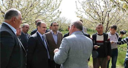 Isparta`da don, tarım alanlarına zarar verdi