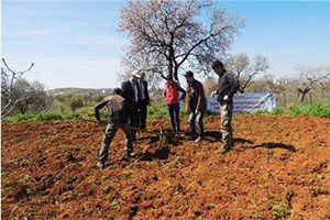 Gap`tan Siirtli Çiftçilere Destek