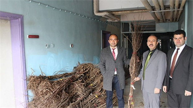 Gıda, Tarım ve Hayvancılık Müdürlüğü Fidan Dağıttı