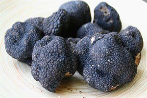 Gizemli Mantar`In İlk Hasadı 2018`de