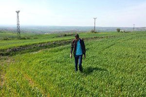 Malkara`da Süne Mücadelesi Başladı