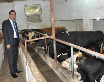 Ordu`da Hayvancılığa 10.2 Milyon TL Destek