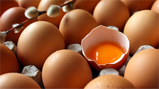 Organik Adıyla Tavuk Pisliğine Bulanmış Yumurta 2 Katına Satılıyor