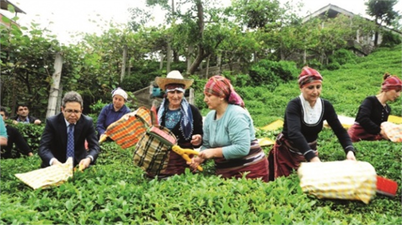 Tarım arazileri için 8 il daha ÇATAK`a girdi