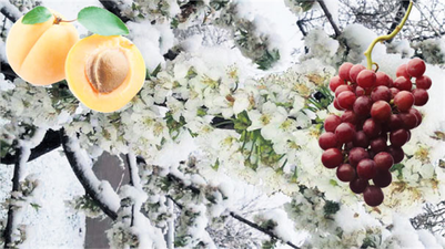 Tarım dondu kaldı `enflasyon` yandı!