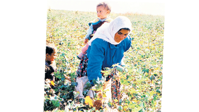 Tarımda en mağdur grup kadın işçiler